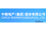 中粮地产